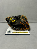 World Pegasus WGK4FM2 Catcher's Mitt