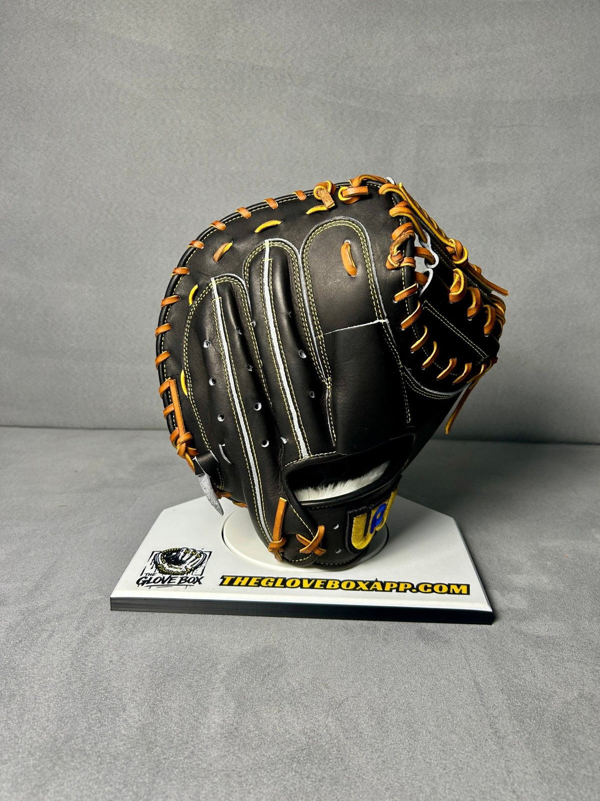 World Pegasus Field Master Catcher's Mitt | WGK4FM2 | 33"-34" | RHT - The Glove Box